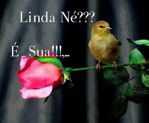 Publicidade